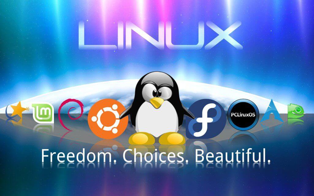 Linux加速脚本优化:BBR原版/魔改/plus,锐速-硬盘挂载,CC防御,宝塔七合一