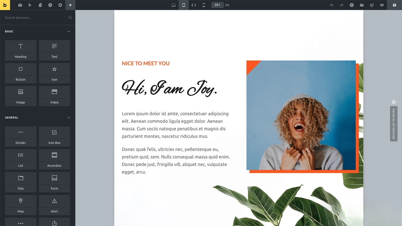 WordPress主题Bricks v1.9 破解版-洋葱Blog-专注网络技术分享