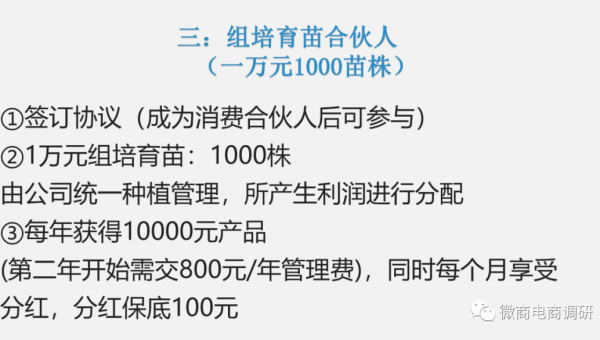 WordPress 优化文章下划线使用提升 SEO 内容区分度 - 洋葱Blog