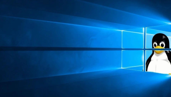 linux和windows软件一样吗 - 洋葱Blog