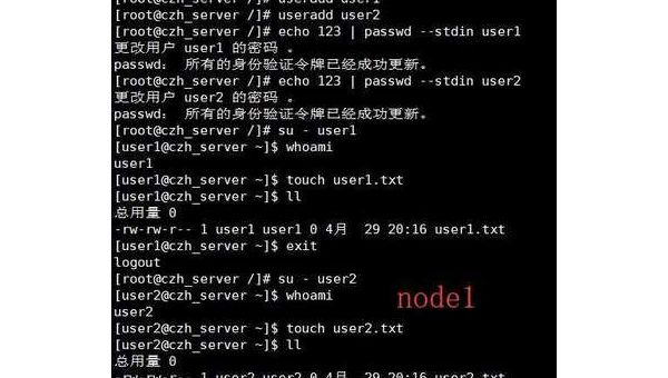 Linux 中如何快速切换用户身份 - 洋葱Blog