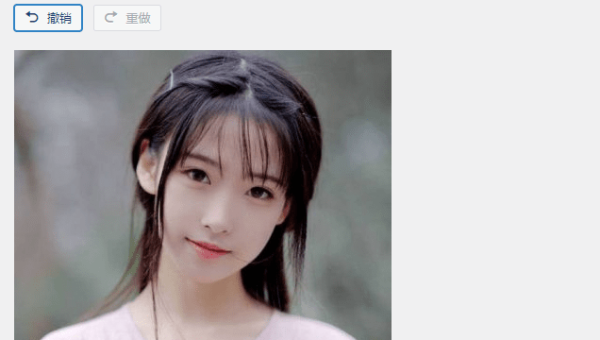 WordPress 网站：利用自定义 post 元数据提升特定内容 SEO 丰富度 - 洋葱Blog