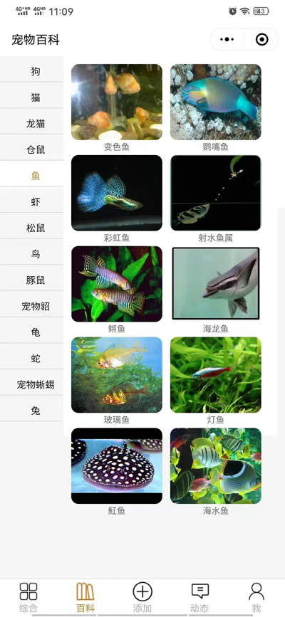 开源宠物社区微信小程序源码 - 洋葱Blog