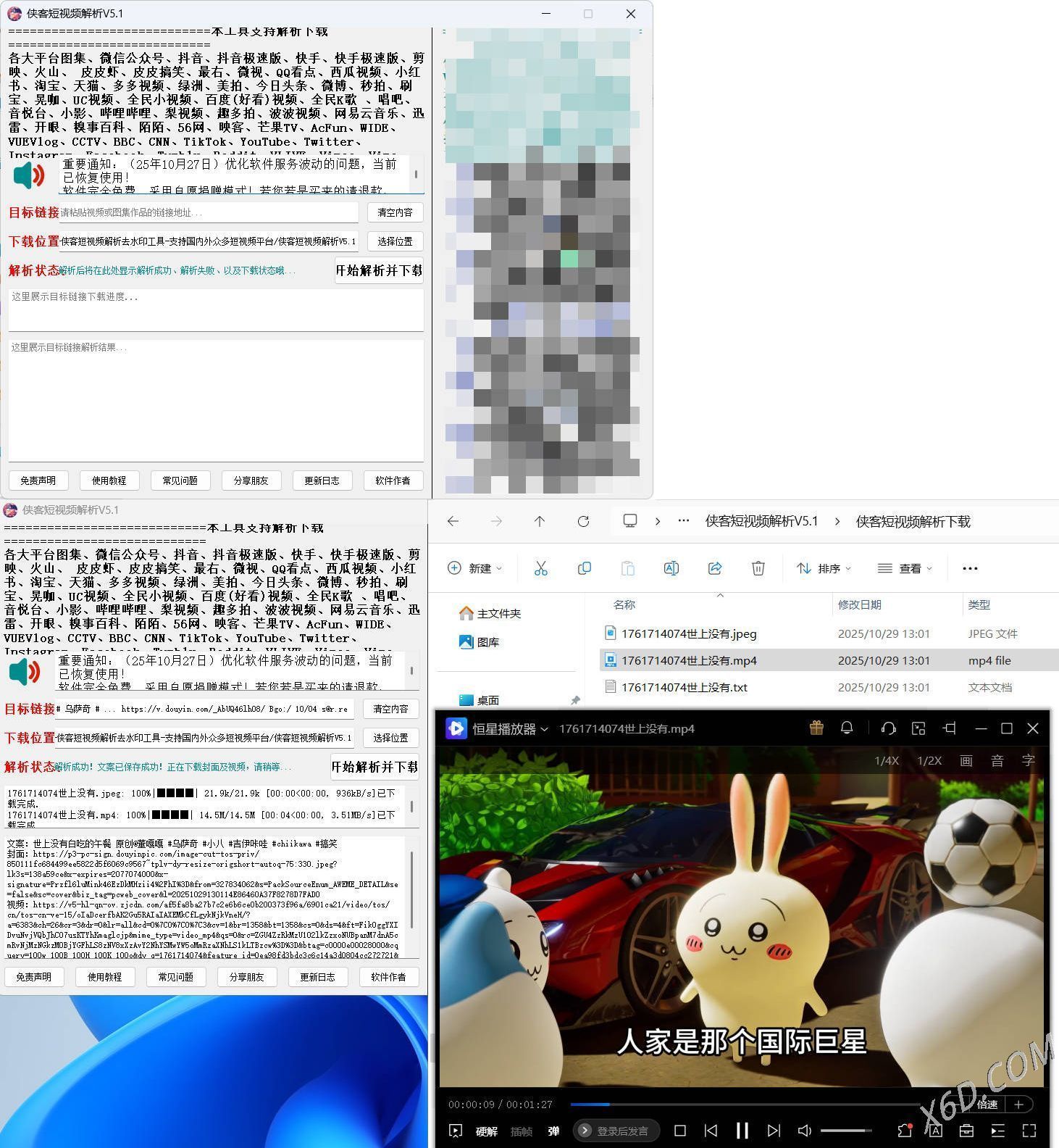 侠客多平台短视频解析去水印工具 V5.1-洋葱Blog-专注网络技术分享