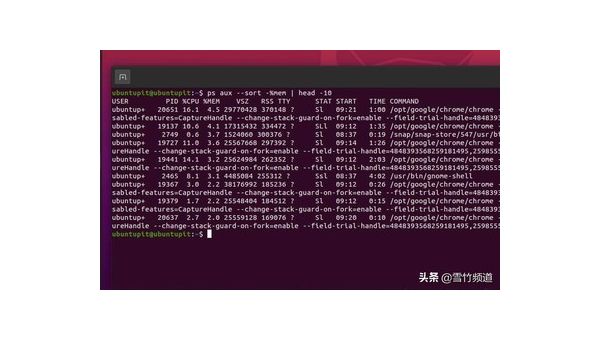 Linux 中如何查看和管理 CPU 使用情况 - 洋葱Blog