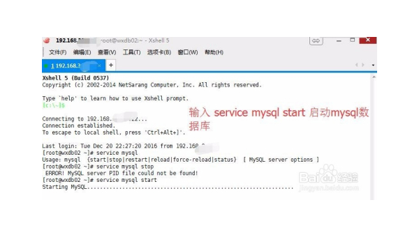 linux下mysql授权账号密码是什么意思 - 洋葱Blog